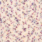 DROPS Fabel Print 924 Tort confetti