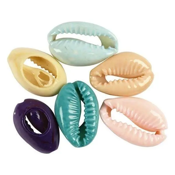 Shell Beads  20 mm, 6 pcs Assorted Colours