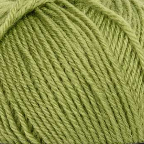 Mayflower 1 Class 13 Morze kaspijskie