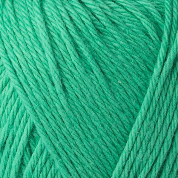 Yarn and Colors Favorite 086 Liść piwonii