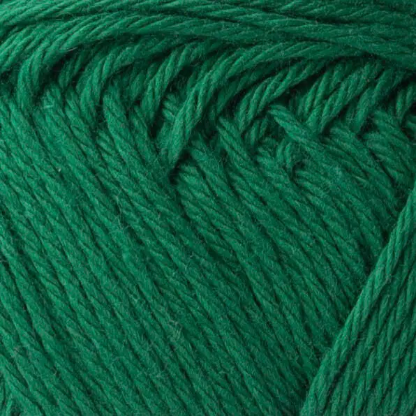 Yarn and Colors Favorite 087 Amazonka