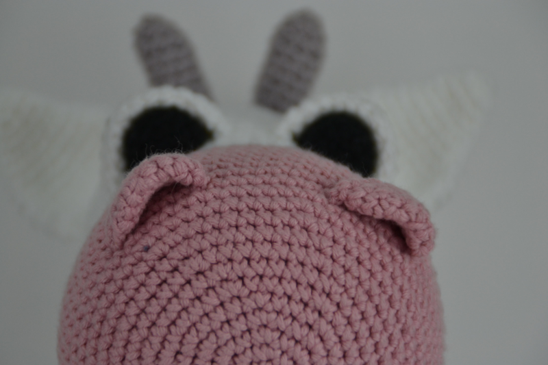 Kucyk Molly i Koen Daisy