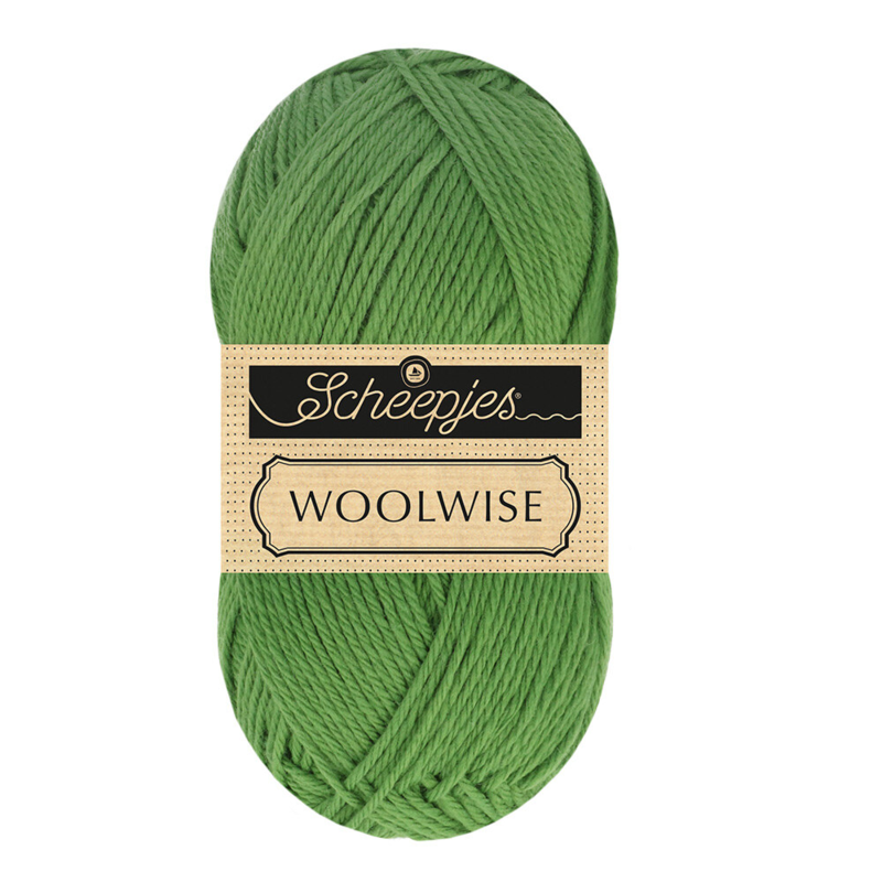 Scheepjes Woolwise 756 Agawa zielona