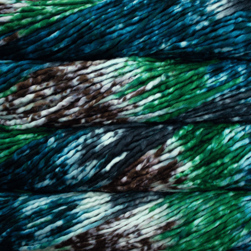 Malabrigo Rasta 171 Snake