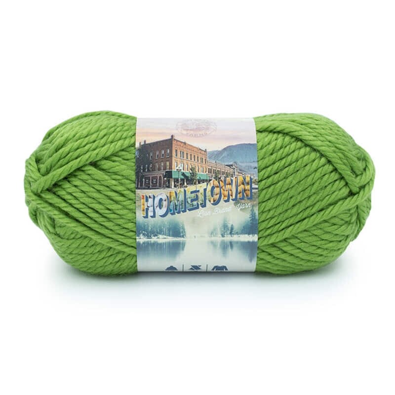 Lion Brand Hometown 135-172D Oklahoma City Green
