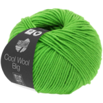 Cool Wool Big 941 Jasnozielony