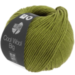 Cool Wool Big 1021 Majowa zieleń