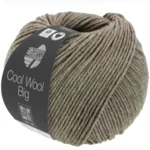 Cool Wool Big 1621 Szarobrązowy melanż