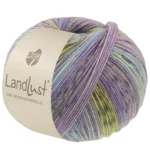 Lana Grossa Landlust Die Sockenwolle 618 Fioletowoniebieski/Jeans/Jasnoniebieski/Jasno-/Ciemnoszary/Jadeit/Pistacjowy/Liliowy w paski