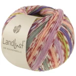 Lana Grossa Landlust Die Sockenwolle 826 Brzoskwiniowy/Fioletowy/Wiosenna zieleń/Violet/Szary/Kremowy/Terakota