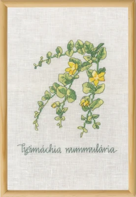 Zestaw do haftu Liść pieniędzy R5799 20 x 30 cm