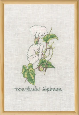 Zestaw do haftu Powój R5799 20 x 30 cm