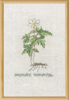 Zestaw do haftu Biała Anemone R5799 20 x 30 cm