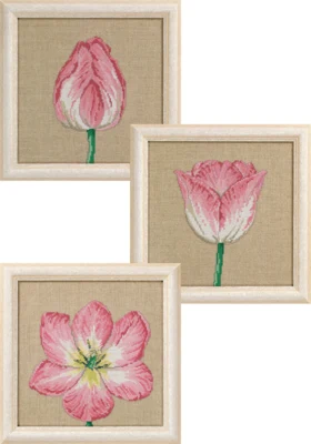 Zestaw do haftu Tulipany w fazach 3 x 25 x 25 cm